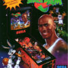 Space Jam Pinball Flyer
